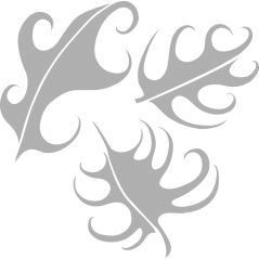 Nervures