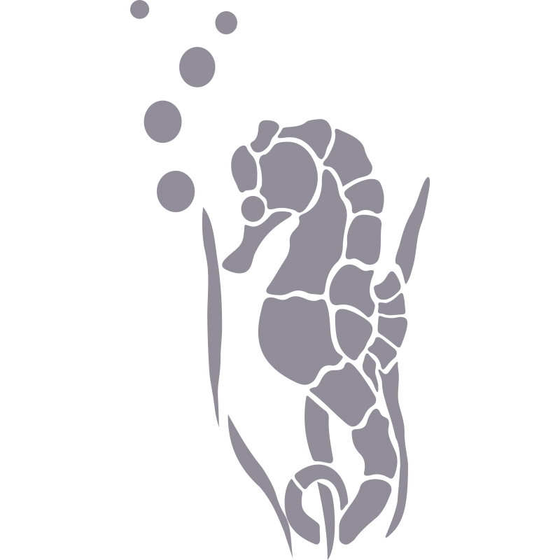 Hippocampe Hippocampe