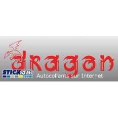 294 Dragon