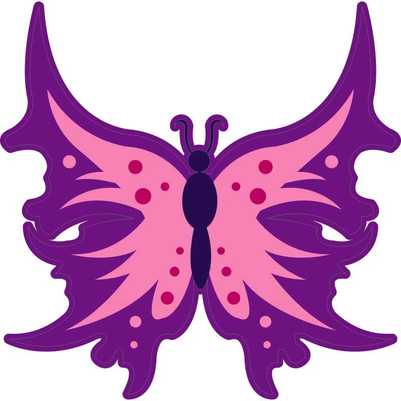 B2 Papillon_B2