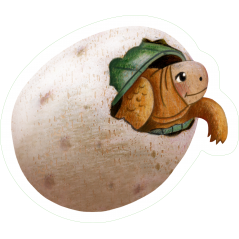 U1 Oeuf Tortue