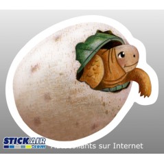 U1 Oeuf Tortue