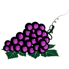 Grappe raisin