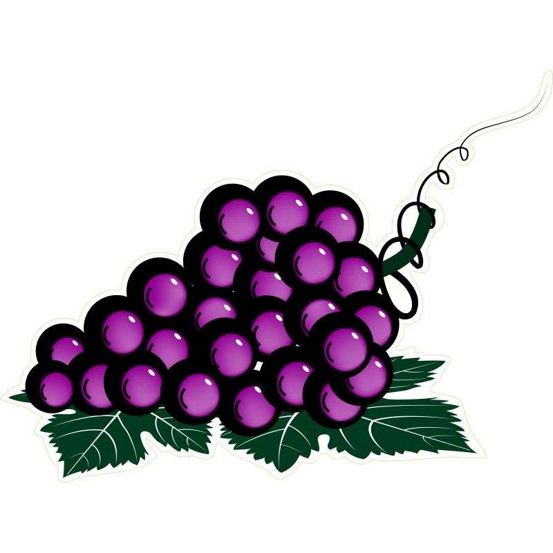 Grappe raisin Grappe raisin