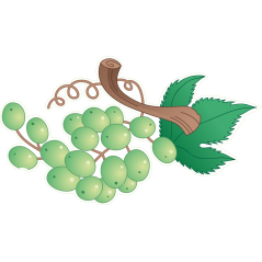 Grappe raisin
