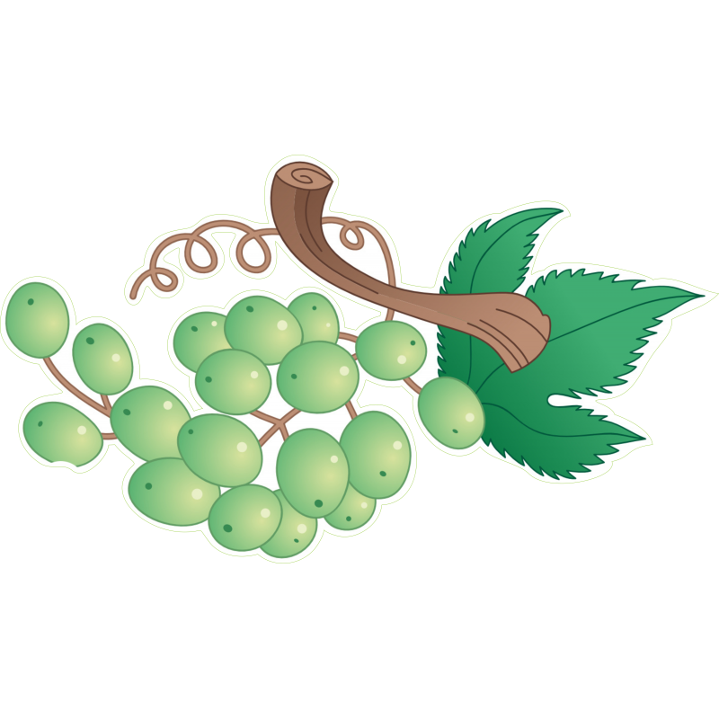 Grappe raisin