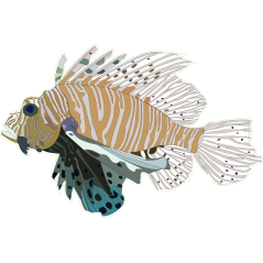 Poisson Epineux G