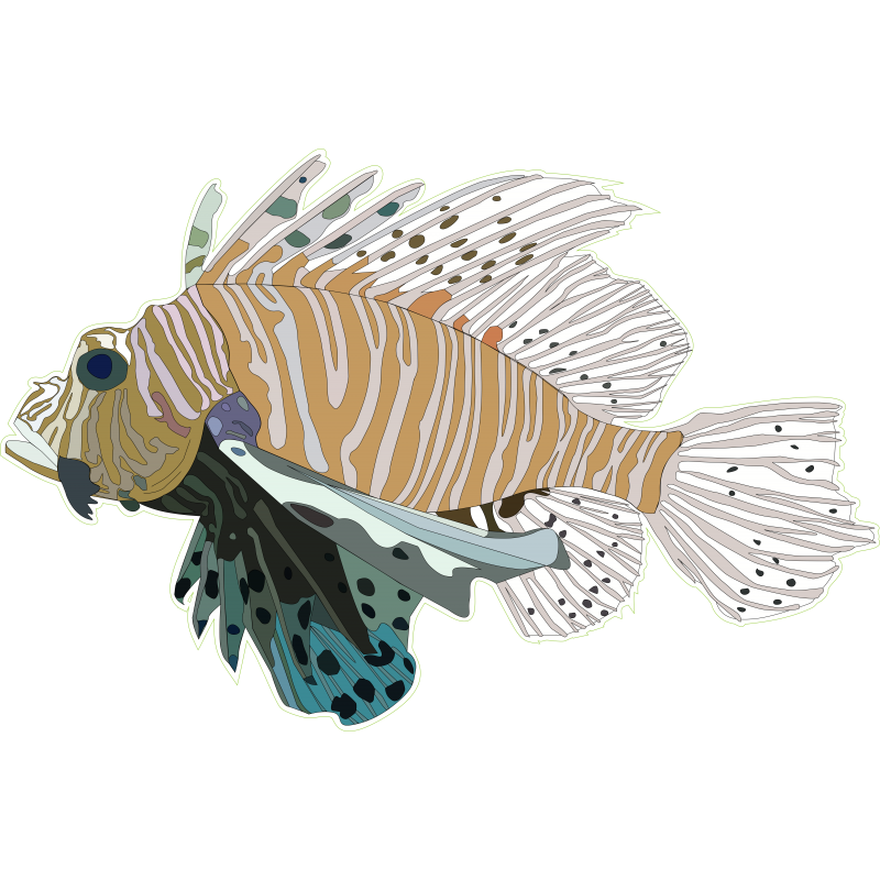 Poisson Epineux G