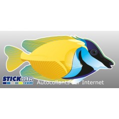 Poisson Tropical