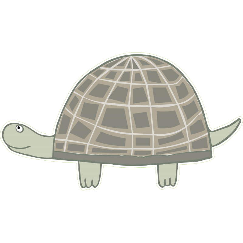 Tortue
