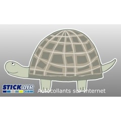 Tortue