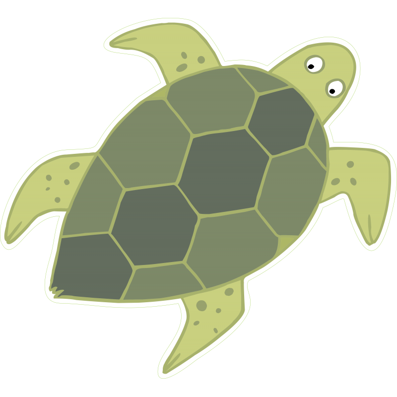 Tortue
