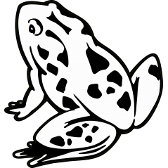 Grenouille