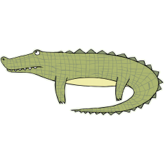 Crocodile