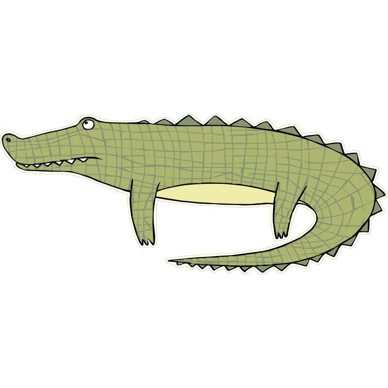 Crocodile