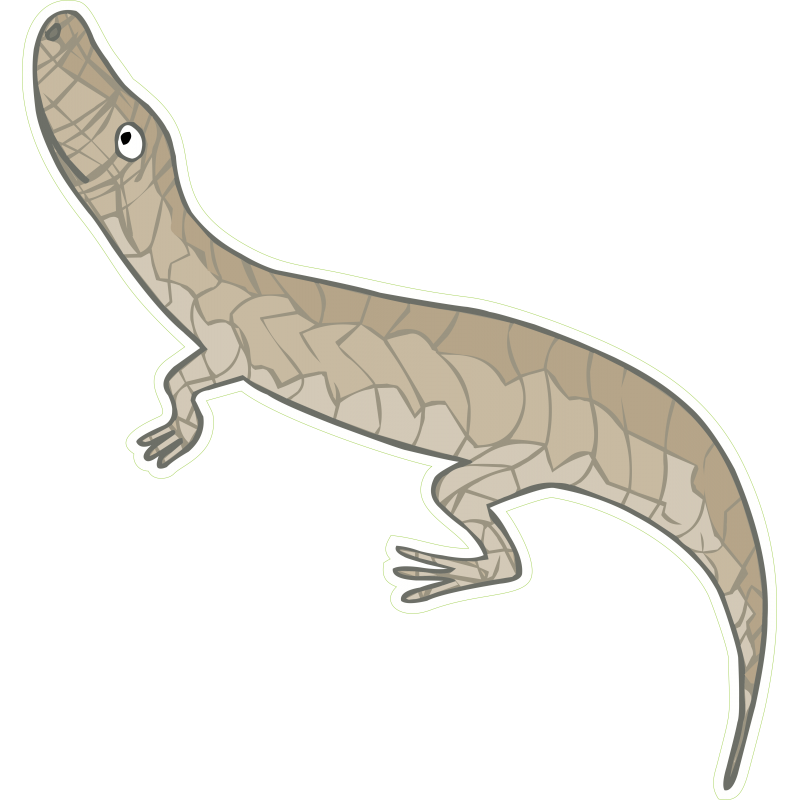 lezard
