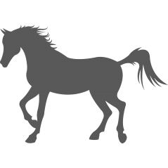 308 Cheval
