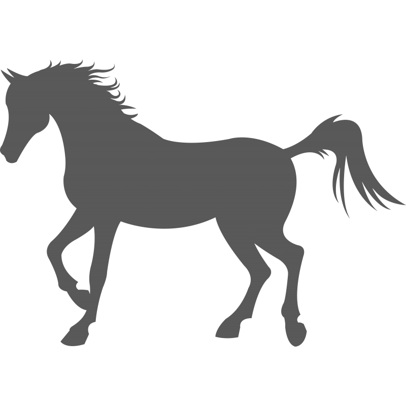 308 Cheval