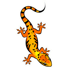 A - Gecko