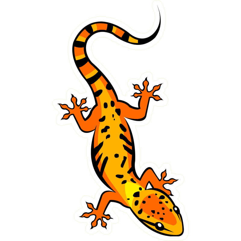 A - Gecko