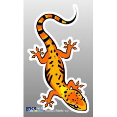 A - Gecko