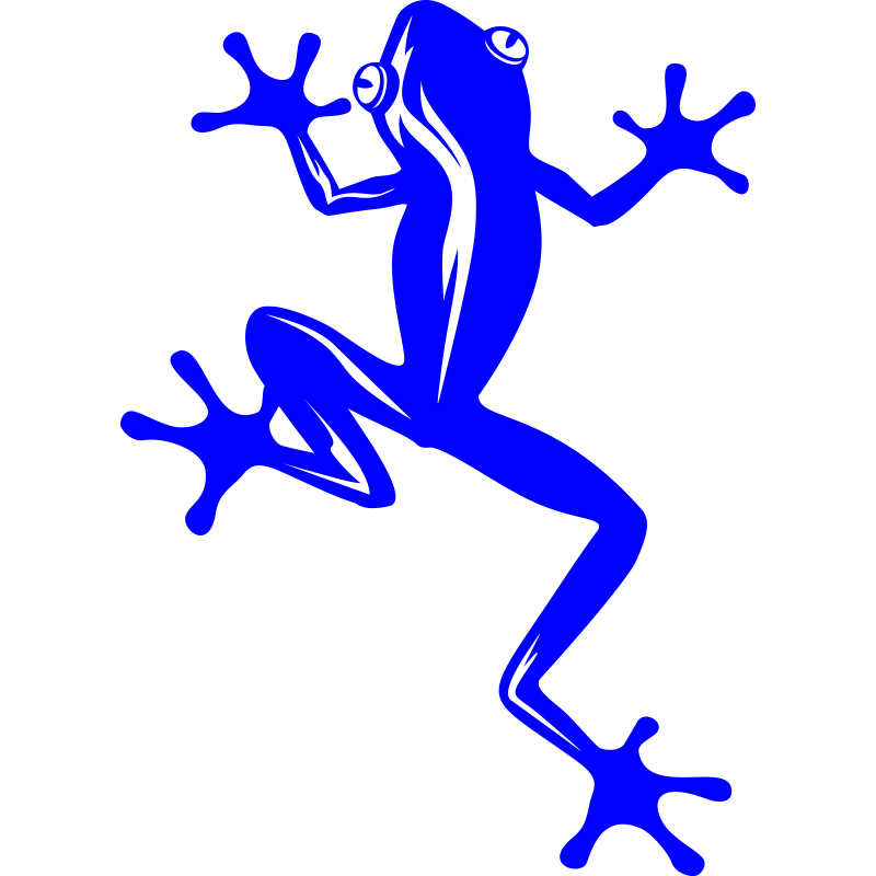 Rainette