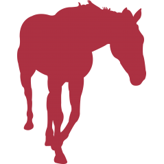 Cheval