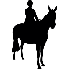 Cheval  et cavalier