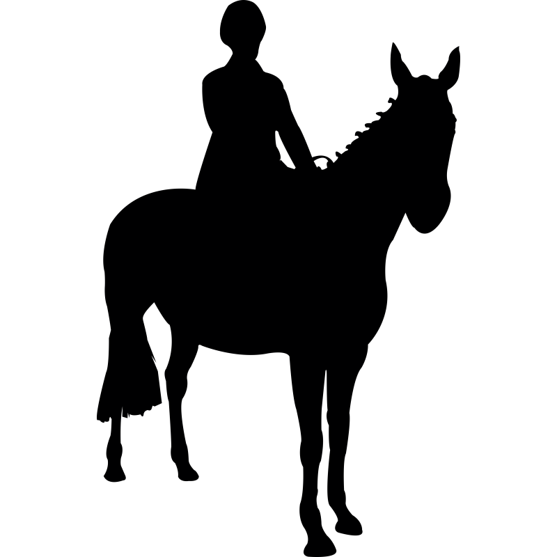 Cheval  et cavalier