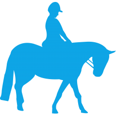 Cheval et cavalier