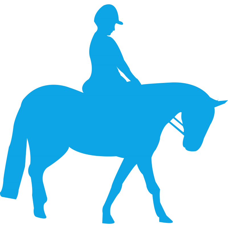 Cheval et cavalier Cheval et cavalier