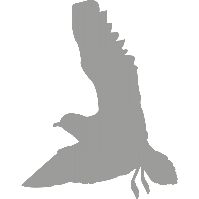 Oiseau