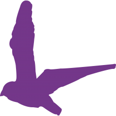Oiseau