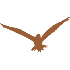 Oiseau
