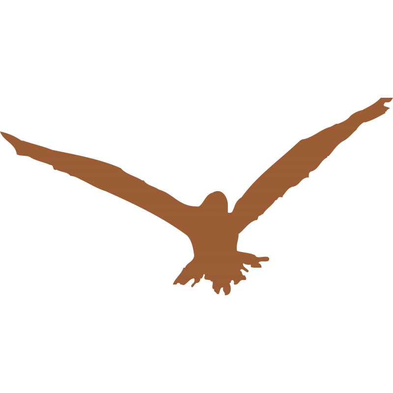 Oiseau