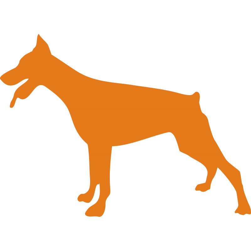 Dobermann