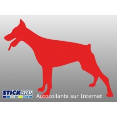 Dobermann