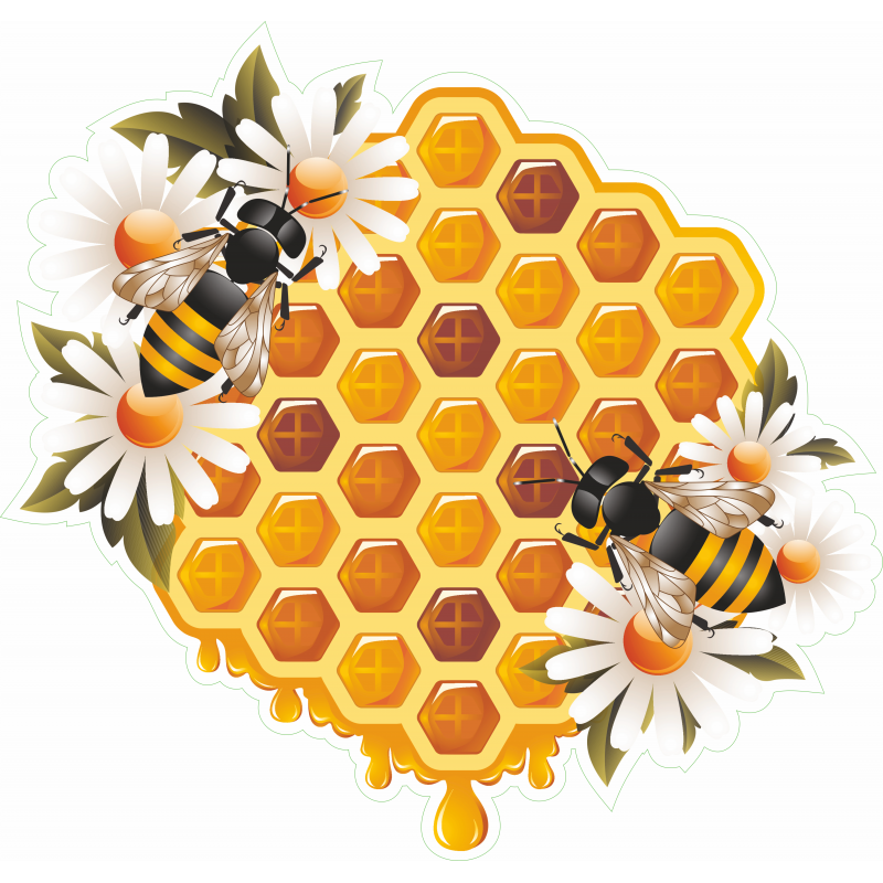 Abeille Miel