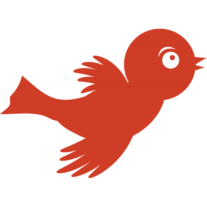 Oiseau deco