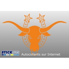 Tete de Taureau