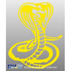 Cobra