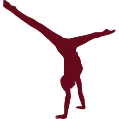 Gymnastique