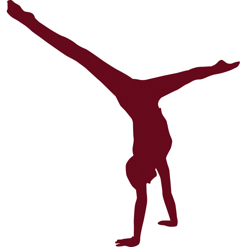 Gymnastique