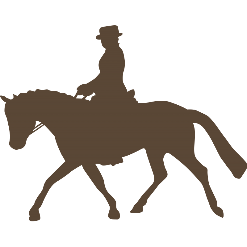 Cavaliere et cheval