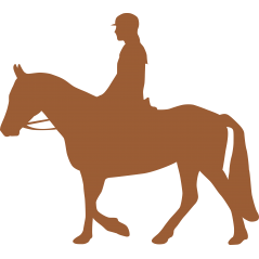 Cavalier et cheval