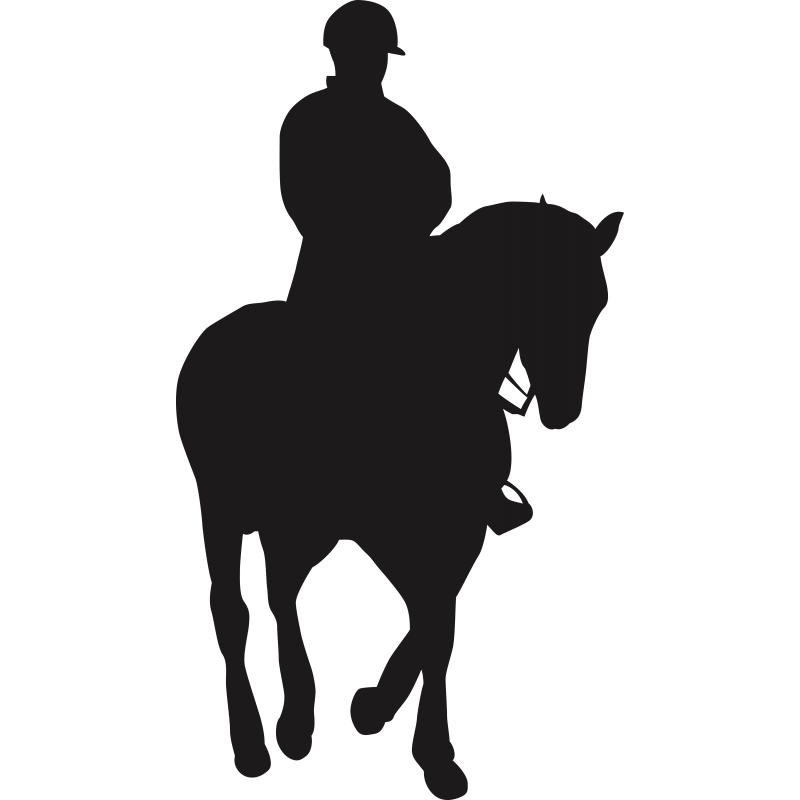 Cavalier et cheval Cavalier et cheval
