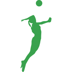 Volley ball