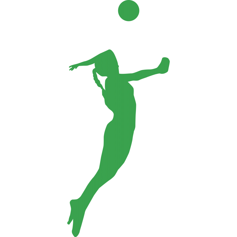 Volley ball