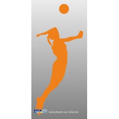 Volley ball