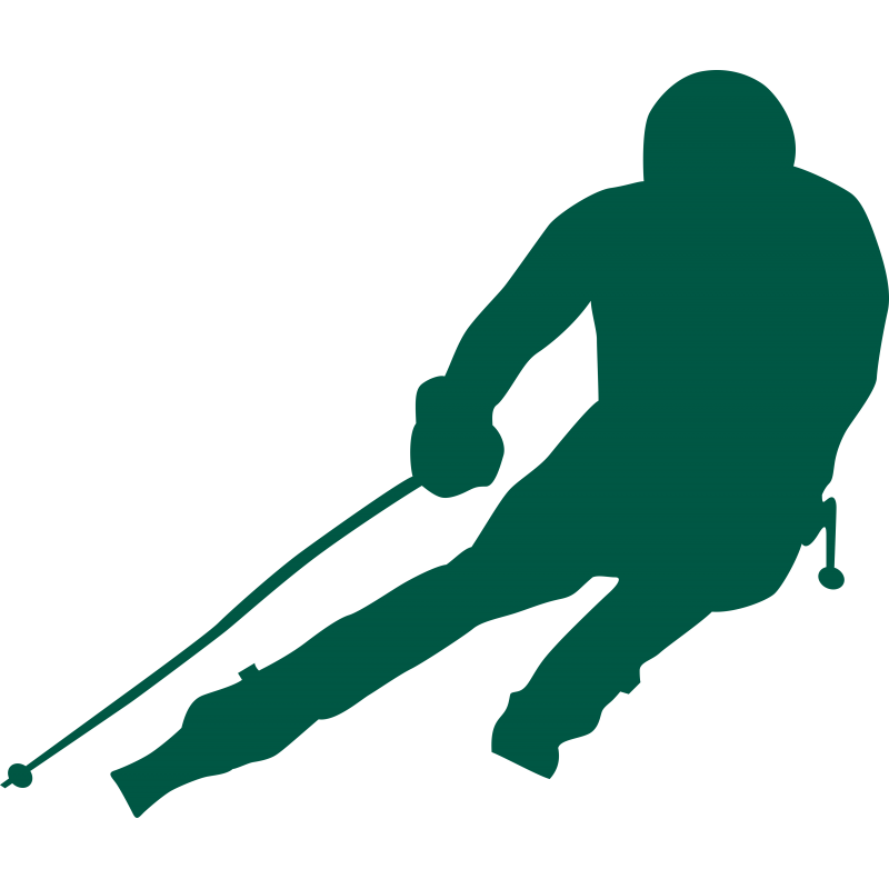 Skieur